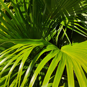 国漫被❌到爽🔞奶头
